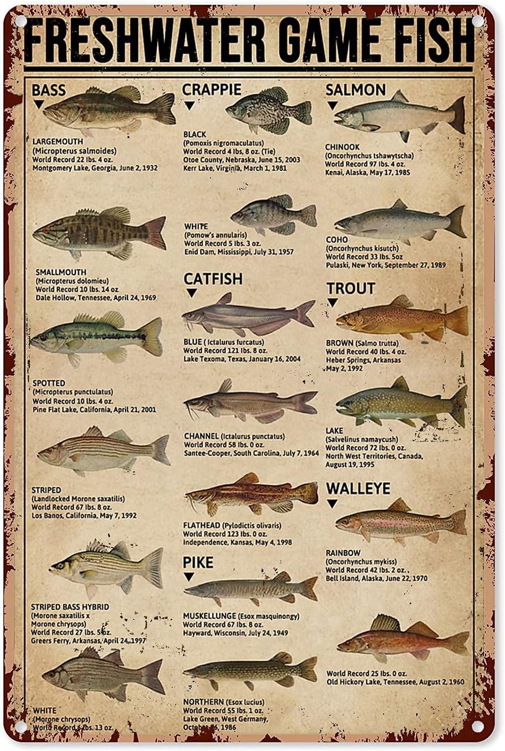 Y1,Fishing Art Posters Metal S - Retro Gaming Decor ulasan dan harga